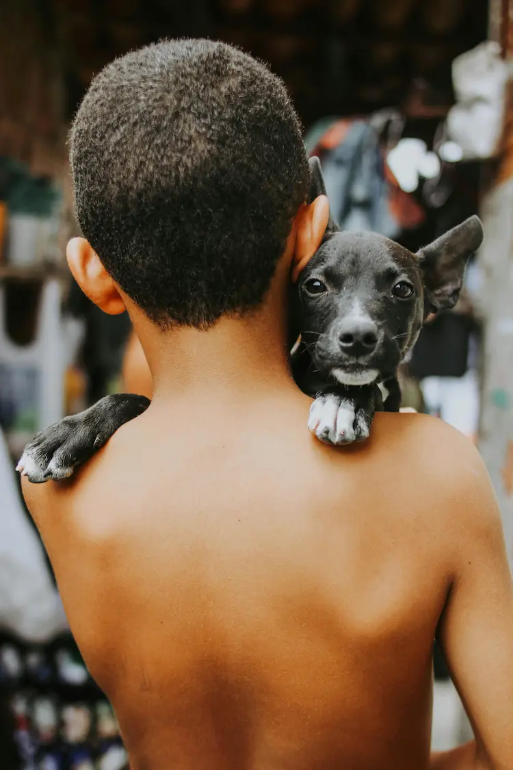 Little boy, holding a small black dog over his shoulders