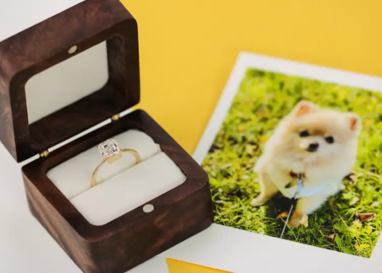 A memorial diamond ring in a box, next to a polaroid picture of a light brown pomeranian