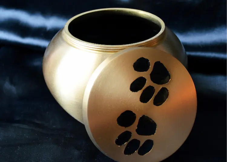A pet ashes urn with paw prints on the lid