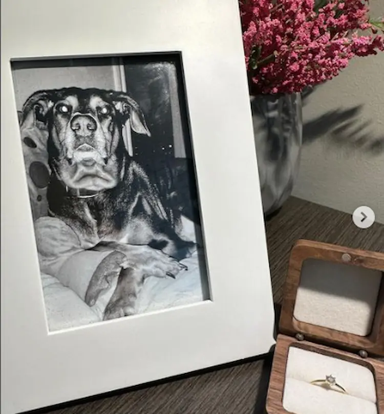 A photo frame with a picture of a dog, next to a ring box with a memorial diamond ring inside.